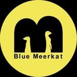 藍狐獴 BlueMeerkat's profile picture