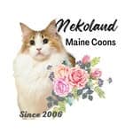 Nekoland Virginia's profile picture