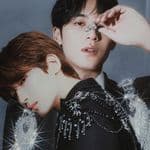 Meanie/珉佑's profile picture