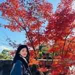 🌈LizChiu🌈's profile picture