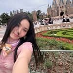 Yiwen Wang's profile picture