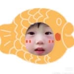 蟹和🐟's profile picture