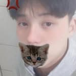 Cat7's profile picture