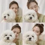 뭉치🐶비숑's profile picture