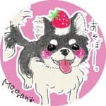 まろ🐶 🐾's profile picture