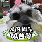 Jily大店（有機店）'s profile picture