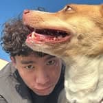 Cho男's profile picture