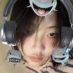 Ying Han's profile picture