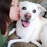 Gloria Wang's profile picture