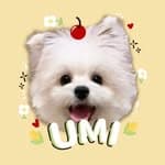 Umi 🌽 濃汪🥣࿐.˚｜寵物友善餐廳·美食·用品·分享's profile picture