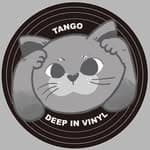 Deep In Vinyl 陷入膠著's profile picture