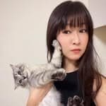 陳毛's profile picture