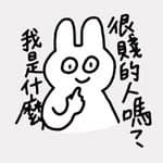 許傳晟's profile picture