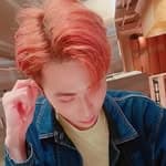 Leo's profile picture