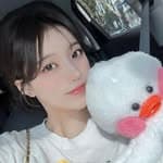 陳欣's profile picture