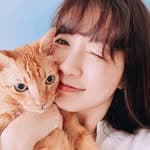 vivi 晴 / 日青暖暖's profile picture