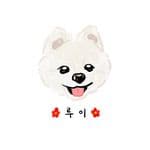 루이💖's profile picture