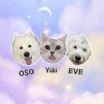 美國短毛貓Yuki&薩摩耶OSO &古代牧羊犬EVE's profile picture