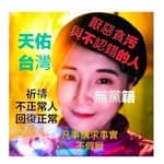 林斐玲's profile picture