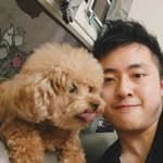 Tommy Li's profile picture