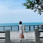 鄭鋆's profile picture