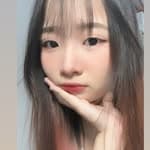 陳陳's profile picture