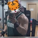 Gomeetiger's profile picture