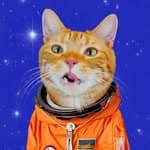 宇宙貓咪's profile picture