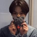 樹懶 𝐓𝐢𝐧𝐠's profile picture