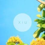 X  I  U's profile picture