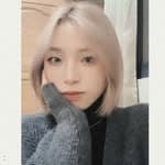 小楊's profile picture