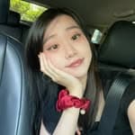 Alexir菲菲's profile picture