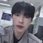 𝐙𝐍's profile picture