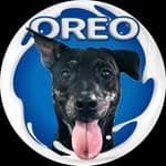 愛吃的OREO's profile picture