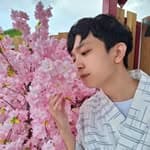 星雨's profile picture