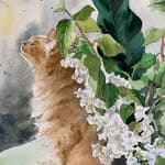 Miss Nancy Watercolour's profile picture