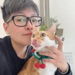 林恬伃's profile picture