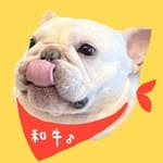 法鬥｜日本A5和牛's profile picture