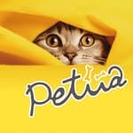 Petiia沛緹雅's profile picture