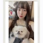 邱芷軒's profile picture