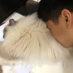 ERIC 曾寬程's profile picture