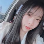 林盈彣's profile picture