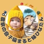 農家の息子猫|ひなまるchannel 【公式】🐣⸒⸒⭕️🫛🚜's profile picture