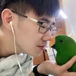 劉明翰's profile picture