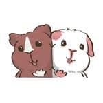 幾內亞魚(GuineapigYu)'s profile picture