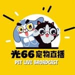 光66寵物直播's profile picture