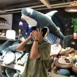 🦈's profile picture