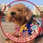 Chih-Hao  Chang's profile picture