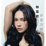 唱紅【可樂】的【心牆】原唱，她是 ‘’景美小歌姬‘’🎤's profile picture