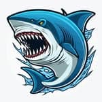 鯊魚🦈's profile picture